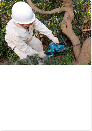 伐採作業イメージ