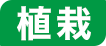 植栽