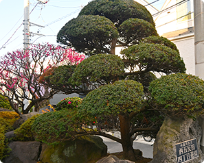 造園工事イメージ