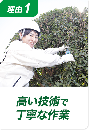 理由1 高い技術で丁寧な作業！