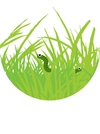 害虫が発生する